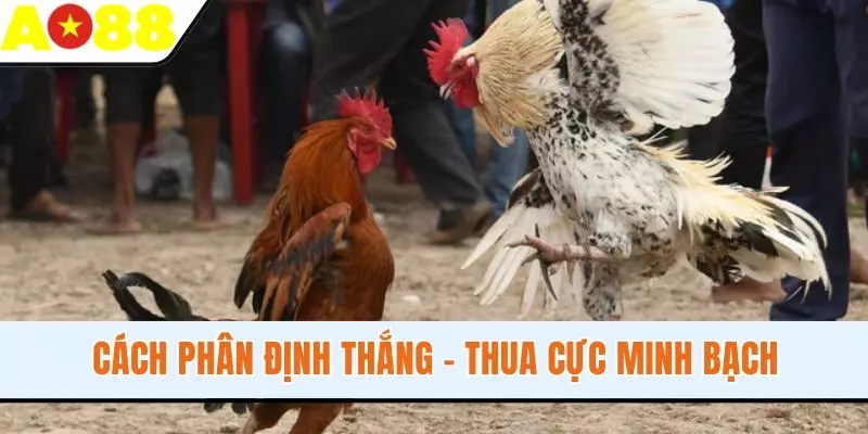 Cách phân định thắng - thua cực minh bạch Cách phân định thắng - thua cực minh bạch