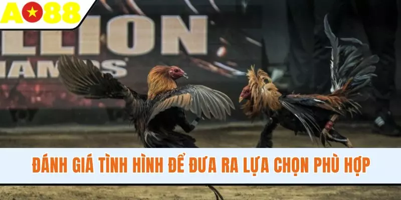 Đánh giá tình hình để đưa ra lựa chọn phù hợp Đánh giá tình hình để đưa ra lựa chọn phù hợp